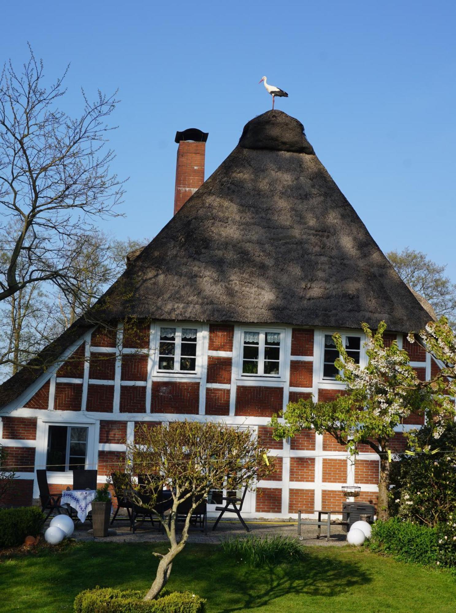 Altes Landhaus Oste, Klavier Appartement, 2 Zimmer Mit Kamin Hemmoor Ngoại thất bức ảnh